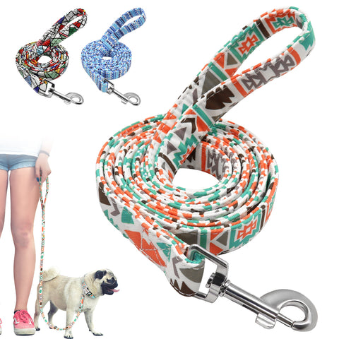 4ft Nylon Dog Leash