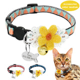 Cute Kitten Collar