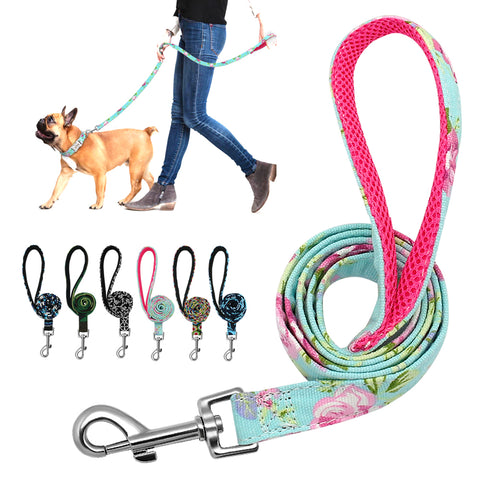 6 Colors Dog Leash