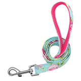 6 Colors Dog Leash