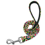 6 Colors Dog Leash