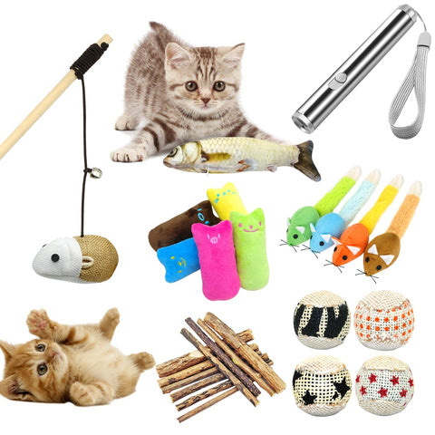 Funny Cat Catnip Toy Cats