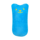 Funny Cat Catnip Toy Cats