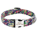 Custom Dog Collar Personalized