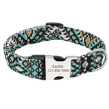 Custom Dog Collar Personalized