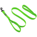 2 Handles Nylon Padded Double Handle Leash