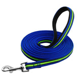 Nylon Pet Dog Leash