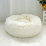 Pet Dog Bed