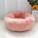 Pet Dog Bed