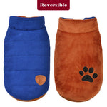 Winter Dog Jacket
