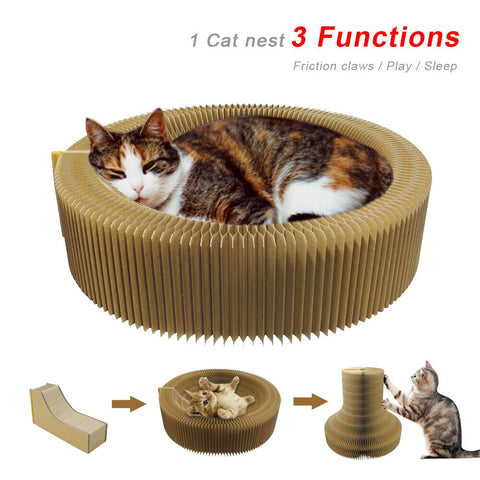 Funny cat scratching board