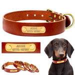 Personalized Dog ID Collar Leather Customized