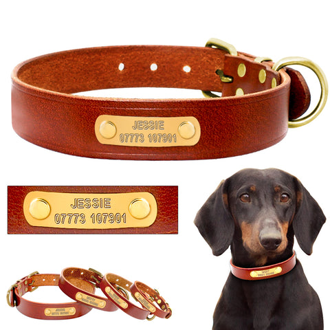 Personalized Dog ID Collar Leather Customized