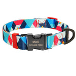 Personalized dog collar