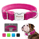 Personalized Dog Tag Collar Perro Padded