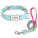 Dog Collar Custom Nylon