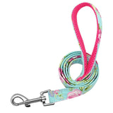 Dog Collar Custom Nylon