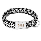 Dog Collar Custom Nylon