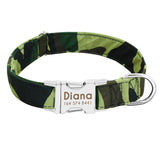 Dog Collar Custom Nylon