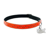 Personalized Cat Collar